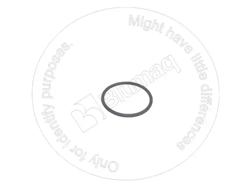 УПЛОТНИТЕЛЬНОЕ КОЛЬЦО 5P8211 ST BLUMAQ