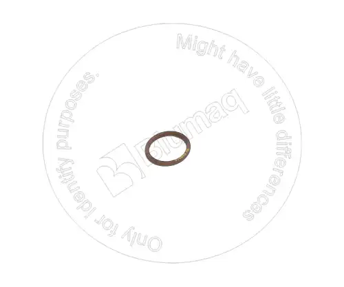УПЛОТНИТЕЛЬНОЕ КОЛЬЦО 6V4589 ST BLUMAQ