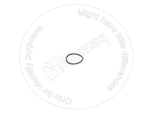 УПЛОТНИТЕЛЬНОЕ КОЛЬЦО 6V5065 ST BLUMAQ