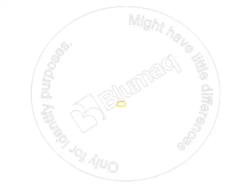 УПЛОТНИТЕЛЬНОЕ КОЛЬЦО 6V6921 ST BLUMAQ