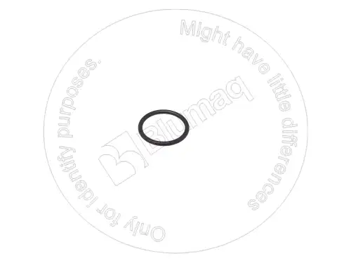 УПЛОТНИТЕЛЬНОЕ КОЛЬЦО 6V7970 ST BLUMAQ