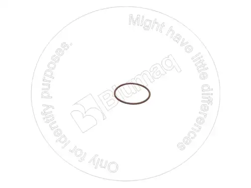 6V8676 ST УПЛОТНИТЕЛЬНОЕ КОЛЬЦО BLUMAQ