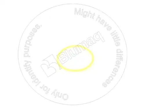УПЛОТНИТЕЛЬНОЕ КОЛЬЦО 8M4395 ST BLUMAQ