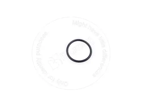 УПЛОТНИТЕЛЬНОЕ КОЛЬЦО 949672 ST BLUMAQ