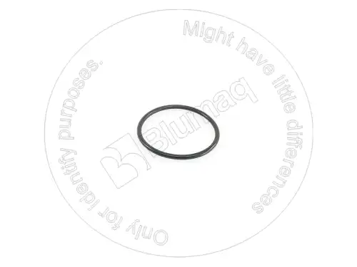 УПЛОТНИТЕЛЬНОЕ КОЛЬЦО 951625 ST BLUMAQ