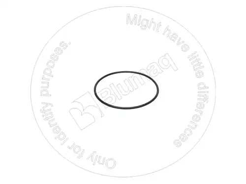 УПЛОТНИТЕЛЬНОЕ КОЛЬЦО 951671 ST BLUMAQ