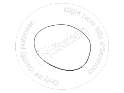 УПЛОТНИТЕЛЬНОЕ КОЛЬЦО 969529 ST BLUMAQ