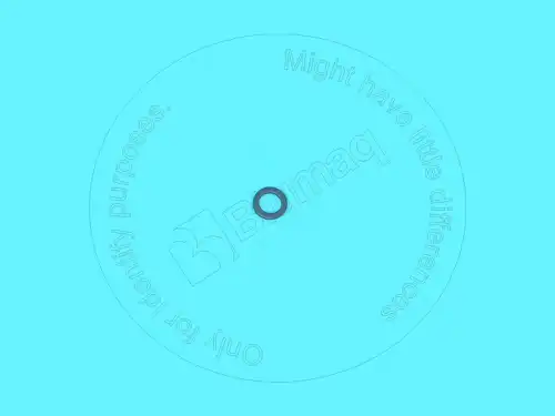 3V2431 ST ШАЙБА BLUMAQ
