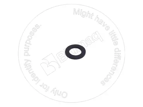 ШАЙБА 6V5841 ST BLUMAQ