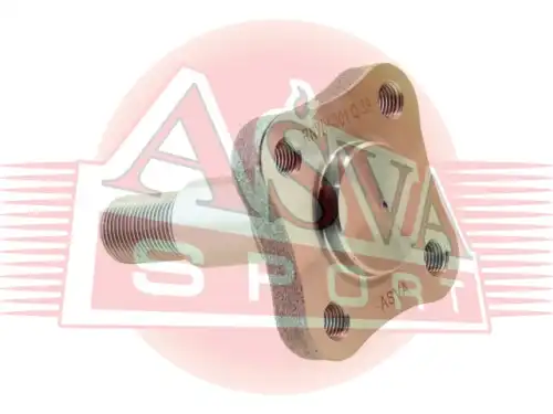 Ступица ASVA RNWH-001