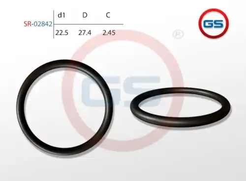 SR-02842 Резиновое кольцо 2.45x22.5 GS