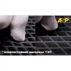 Коврики в салон ASP AEVS0711