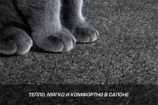 Коврики в салон AUTOFLEX 5090101