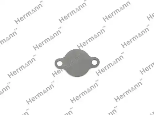 HR2562851010 Заглушка HERMANN