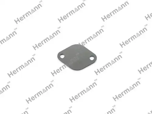 HR2562830060 Заглушка HERMANN