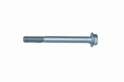 16593125 Винт IVECO M10X100 MM (10013160