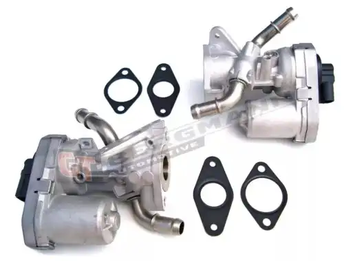 Клапан ЕГР GT55012 GT-BERGMANN