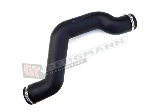 GT52117 Автозапчасть GT-BERGMANN
