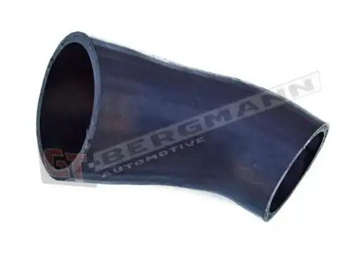 Патрубок воздушный GT52031 GT-BERGMANN