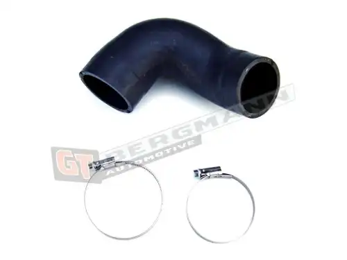 Патрубок воздушный GT52089 GT-BERGMANN