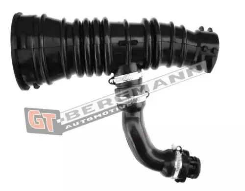 Патрубок воздушный GT52196 GT-BERGMANN