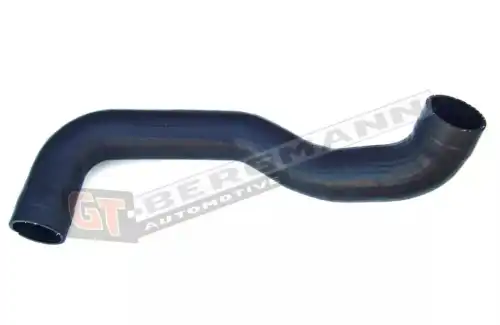 Патрубок воздушный GT52033 GT-BERGMANN