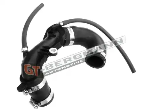 Патрубок воздушный GT52250 GT-BERGMANN