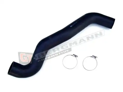 Патрубок воздушный GT52079 GT-BERGMANN
