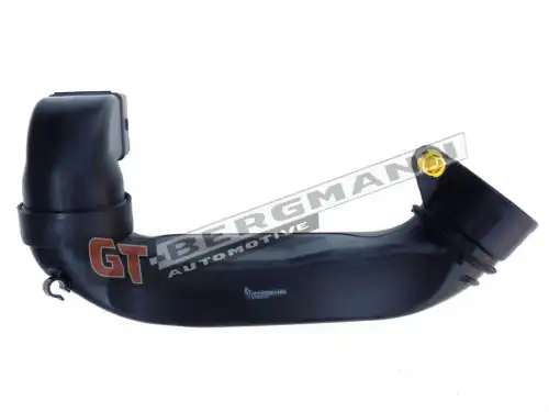 Патрубок воздушный GT52255 GT-BERGMANN