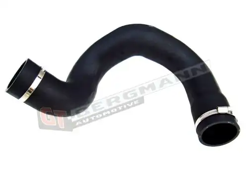 Патрубок воздушный GT52098 GT-BERGMANN