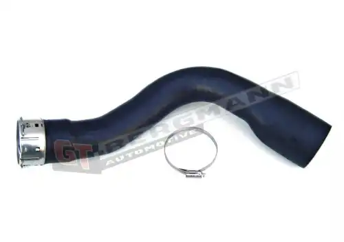 Патрубок воздушный GT52034 GT-BERGMANN