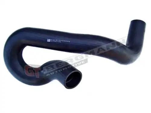 Патрубок воздушный GT52086 GT-BERGMANN