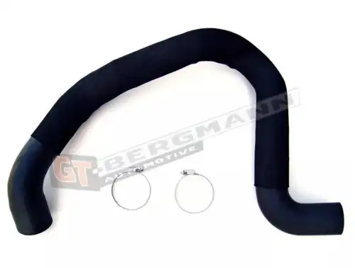 Патрубок воздушный GT52076 GT-BERGMANN