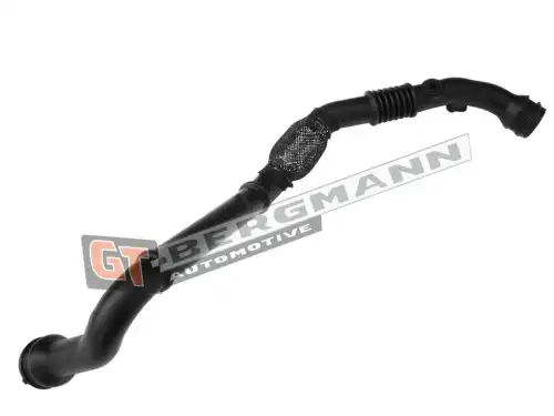 Патрубок воздушный GT52249 GT-BERGMANN