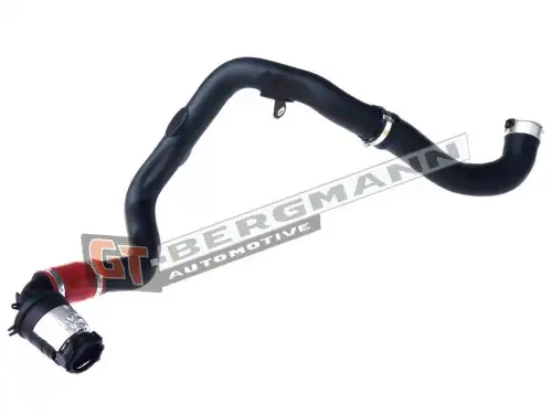 Патрубок интеркуллера GT52260 GT-BERGMANN