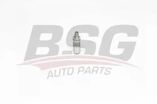 Гидрокомпенсатор BSG BSG 40-122-028