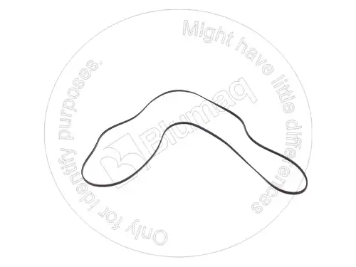 5271641 5271641 Прокладка BLUMAQ