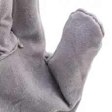 PALISAD 679025
