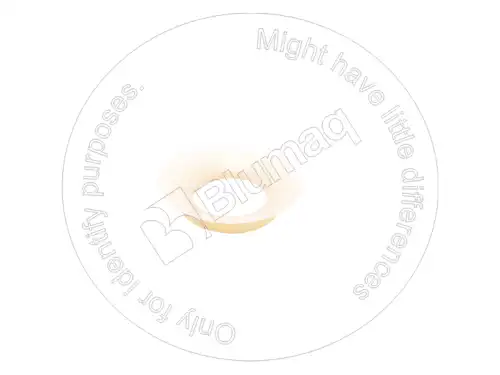 SEAL 1787360 ST BLUMAQ