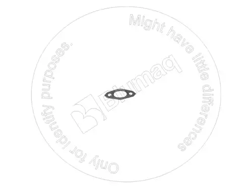 Прокладка 1978419 ST BLUMAQ