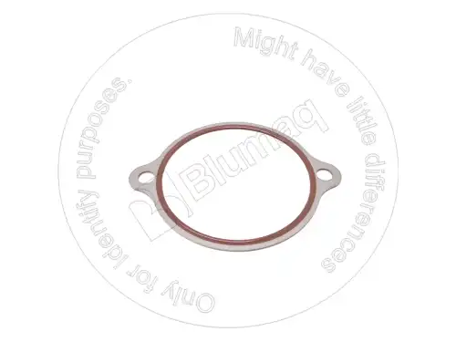 САЛЬНИК 2752164 ST BLUMAQ