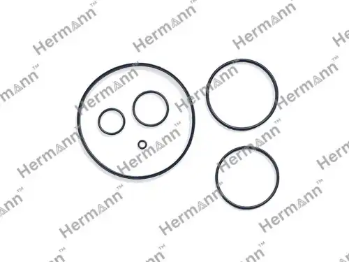 Ремкомплект HR06L145100FC HERMANN