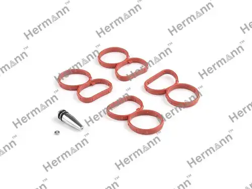 Ремкомплект HR11618507239 HERMANN