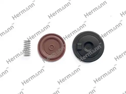 Ремк-т КВКГ HR8200629199KIT HERMANN