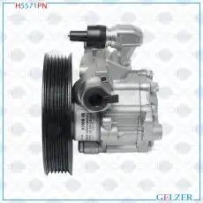 Насос гидроусилителя руля GELZER H5571PN