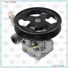 Насос гидроусилителя руля GELZER H5743PN