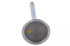 VALVE,INT 12568411 PONTIAC