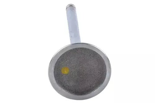 VALVE,INT 12568411 PONTIAC