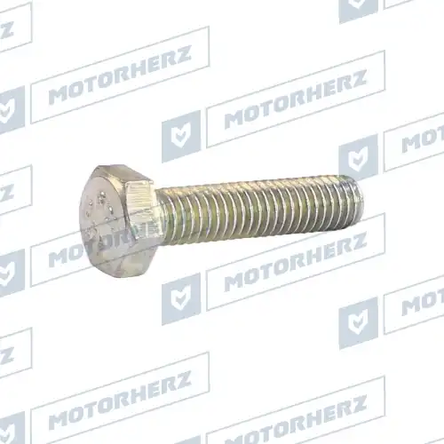 Болт рулевого агрегата HLL00582 MOTORHERZ