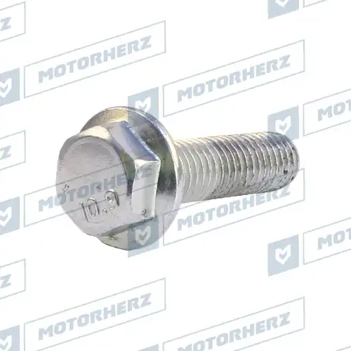 Болт рулевого агрегата HLL00600 MOTORHERZ